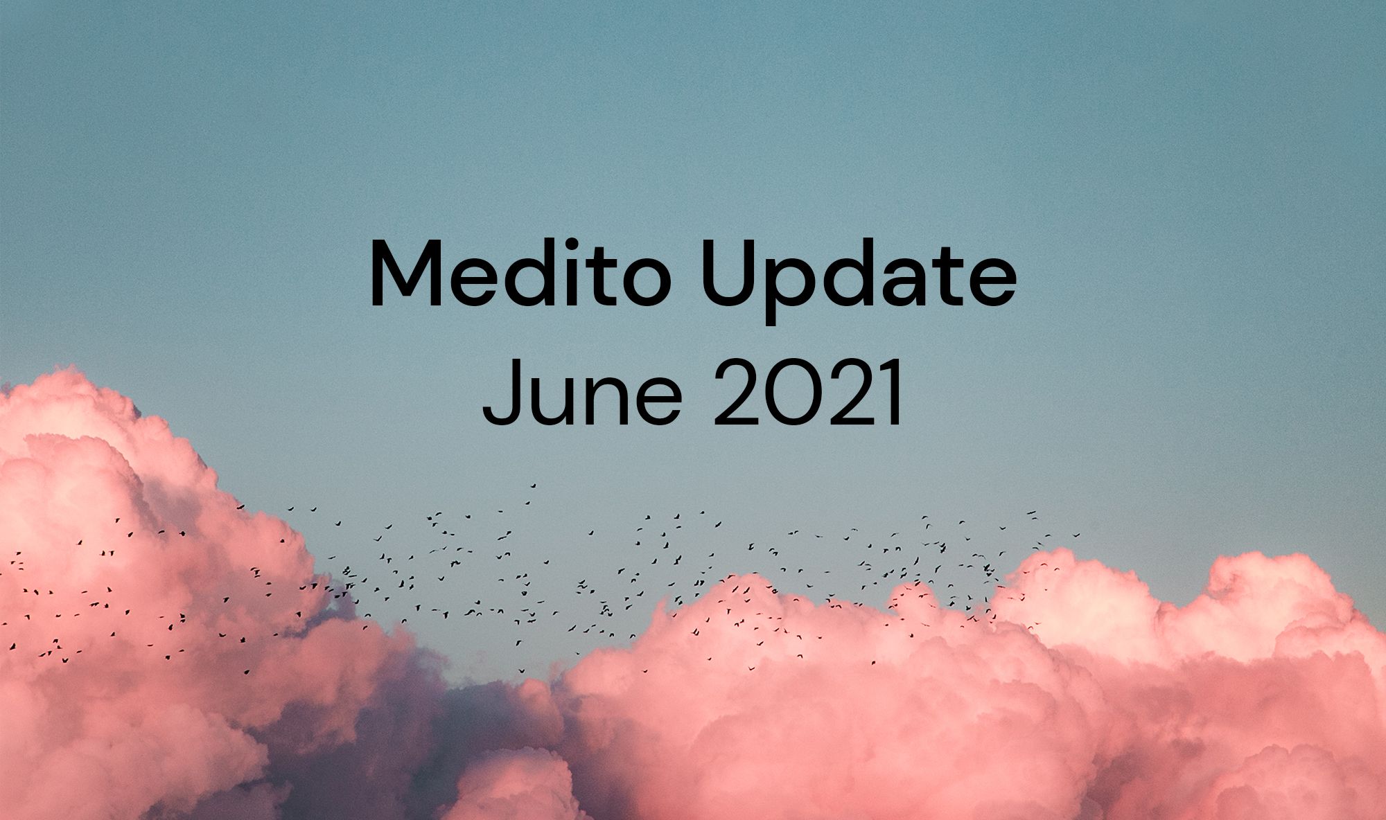 Medito Update - June 2021