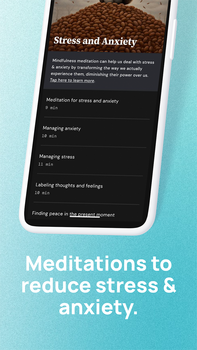 App - Medito Foundation